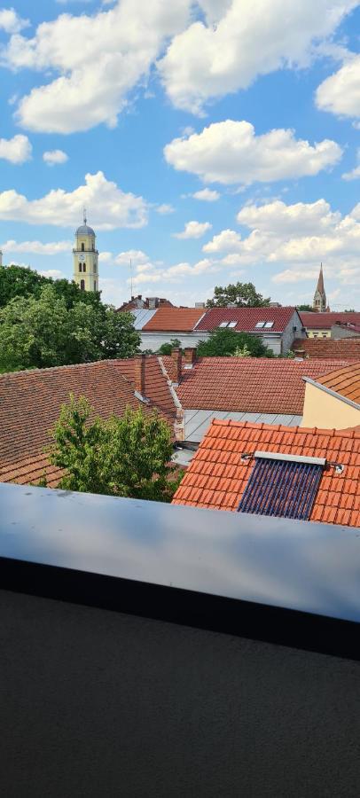 Charlotte Piata Unirii - Free Private Parking 2Bedrooms Apartment オラデア エクステリア 写真